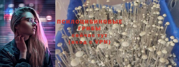 каннабис Михайловск