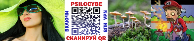 Псилоцибиновые грибы мухоморы сколько стоит Кубинка