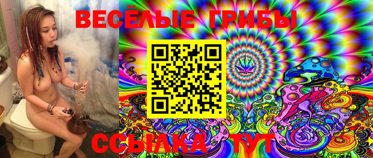Псилоцибиновые грибы Cubensis  цены наркотик  Вход с VPN  Кубинка  Галлюциногенные грибы мицелий 